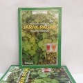 Budidaya Tanaman Jarak Pagar